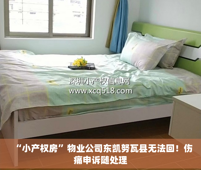 “小产权房”物业公司东凯努瓦县无法回！伤痛申诉随处理