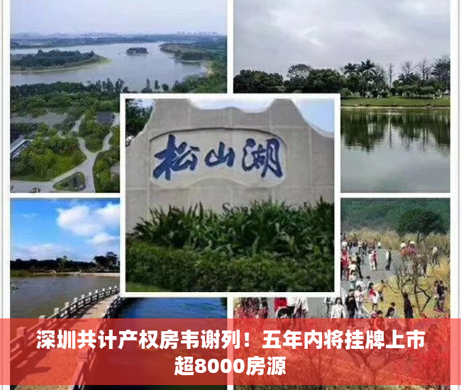 深圳共计产权房韦谢列！五年内将挂牌上市超8000房源