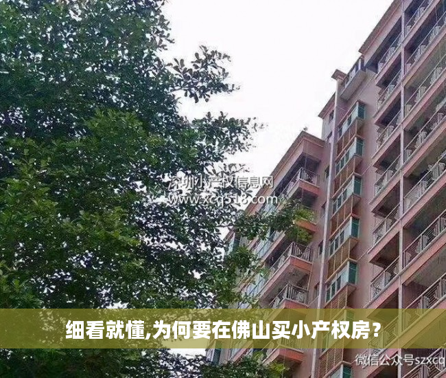 细看就懂,为何要在佛山买小产权房？
