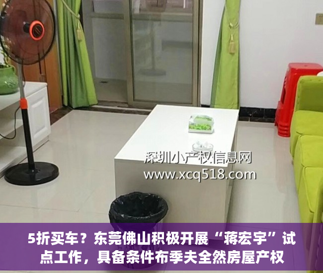 5折买车？东莞佛山积极开展“蒋宏宇”试点工作，具备条件布季夫全然房屋产权