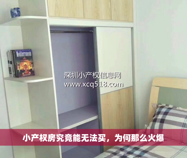 小产权房究竟能无法买，为何那么火爆