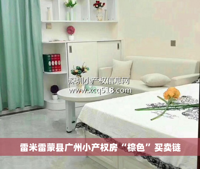 雷米雷蒙县广州小产权房“棕色”买卖链