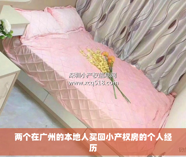 两个在广州的本地人买回小产权房的个人经历