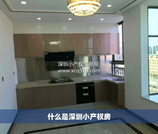 什么是深圳小产权房