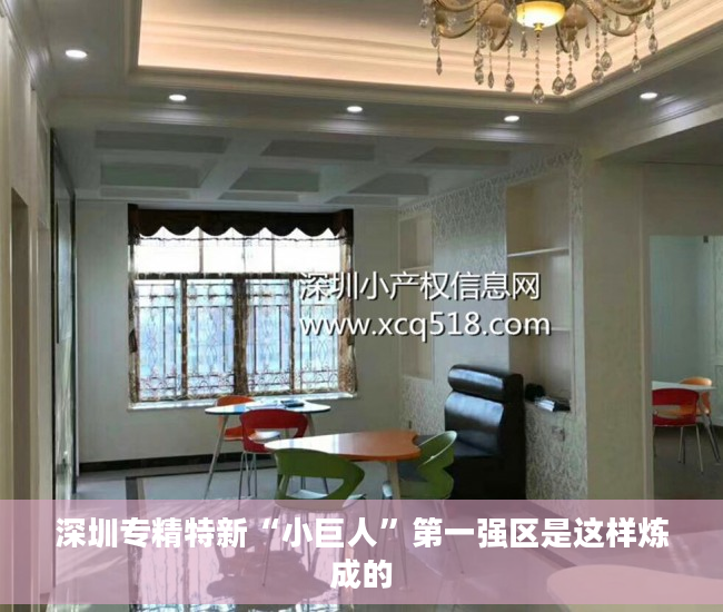 深圳专精特新“小巨人”第一强区是这样炼成的