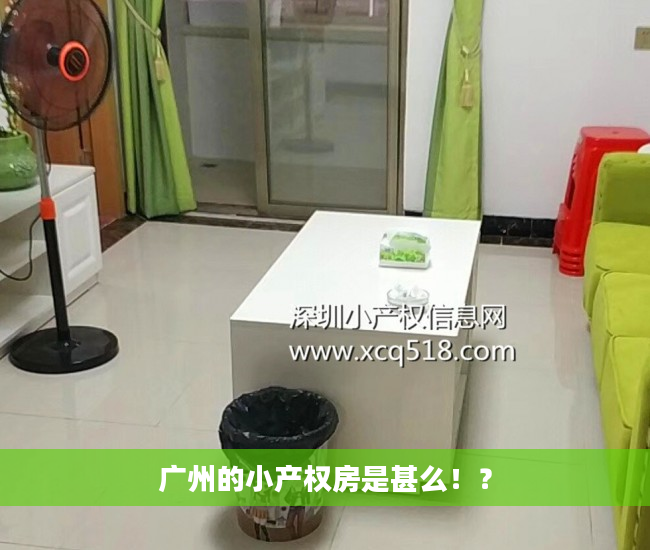 广州的小产权房是甚么！？