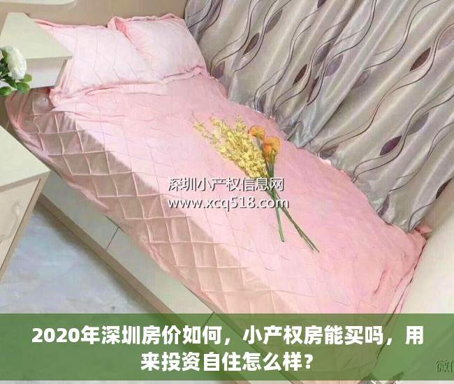 2020年深圳房价如何，小产权房能买吗，用来投资自住怎么样？