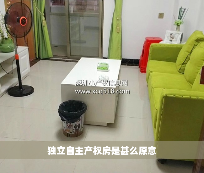 独立自主产权房是甚么原意