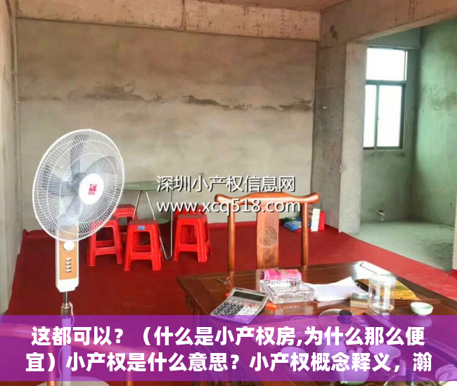 这都可以？（什么是小产权房,为什么那么便宜）小产权是什么意思？小产权概念释义，瀚海名居为什么是小产权，