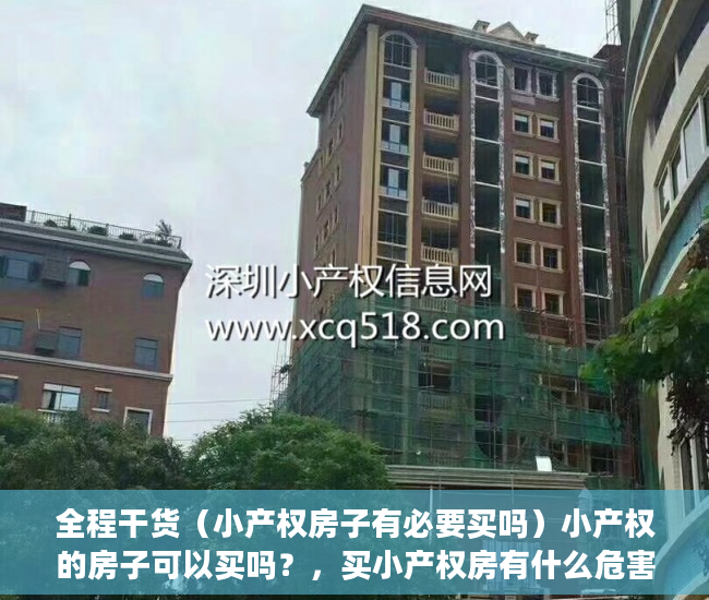 全程干货（小产权房子有必要买吗）小产权的房子可以买吗？，买小产权房有什么危害，