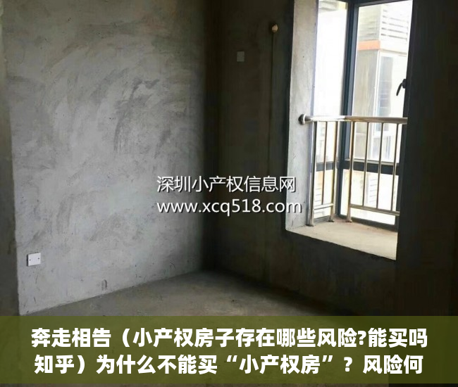 奔走相告（小产权房子存在哪些风险?能买吗知乎）为什么不能买“小产权房”？风险何在？，小产权房子为啥风险，