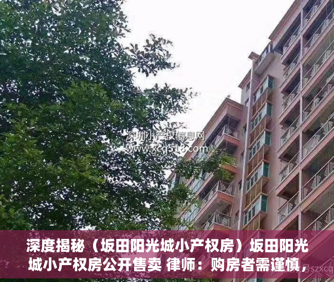 深度揭秘（坂田阳光城小产权房）坂田阳光城小产权房公开售卖 律师：购房者需谨慎，板田阳光城小产权，