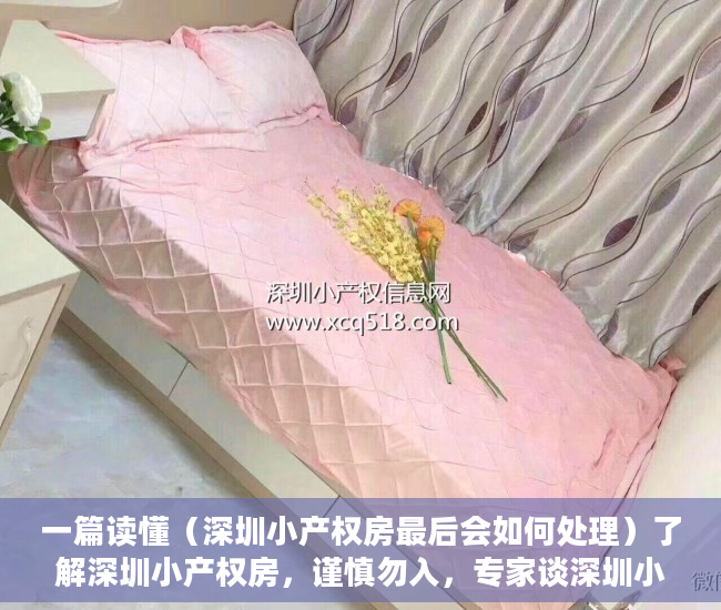 一篇读懂（深圳小产权房最后会如何处理）了解深圳小产权房，谨慎勿入，专家谈深圳小产权房的未来，