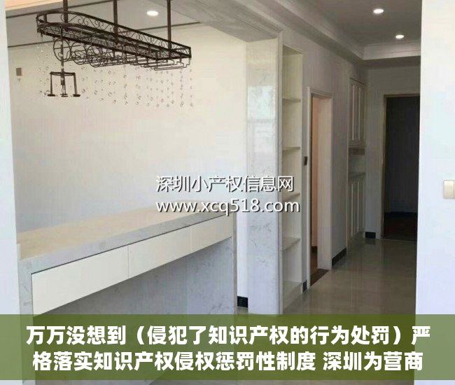万万没想到（侵犯了知识产权的行为处罚）严格落实知识产权侵权惩罚性制度 深圳为营商环境撑起法治晴空，依法加大对知识产权侵权行为惩治力度，