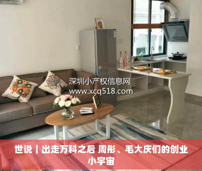 世说｜出走万科之后 周彤、毛大庆们的创业小宇宙