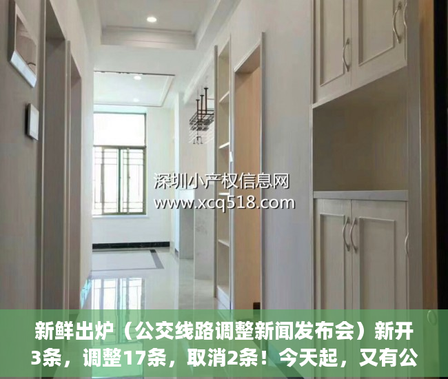 新鲜出炉（公交线路调整新闻发布会）新开3条，调整17条，取消2条！今天起，又有公交线路有变化！_深圳新闻网，公交新线路开通新闻，