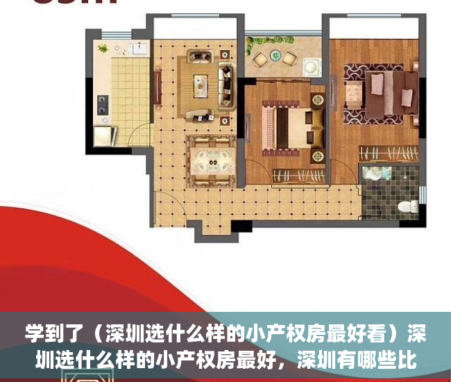 学到了（深圳选什么样的小产权房最好看）深圳选什么样的小产权房最好，深圳有哪些比较好的小产权房，