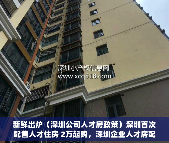 新鲜出炉（深圳公司人才房政策）深圳首次配售人才住房 2万起购，深圳企业人才房配售条件要求，