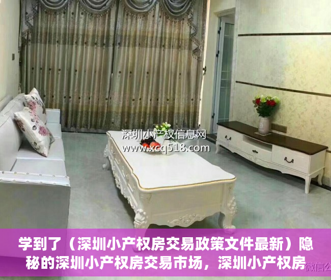 学到了（深圳小产权房交易政策文件最新）隐秘的深圳小产权房交易市场，深圳小产权房交易政策文件解读，