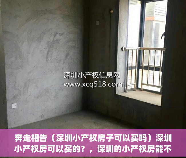 奔走相告（深圳小产权房子可以买吗）深圳小产权房可以买的？，深圳的小产权房能不能买，