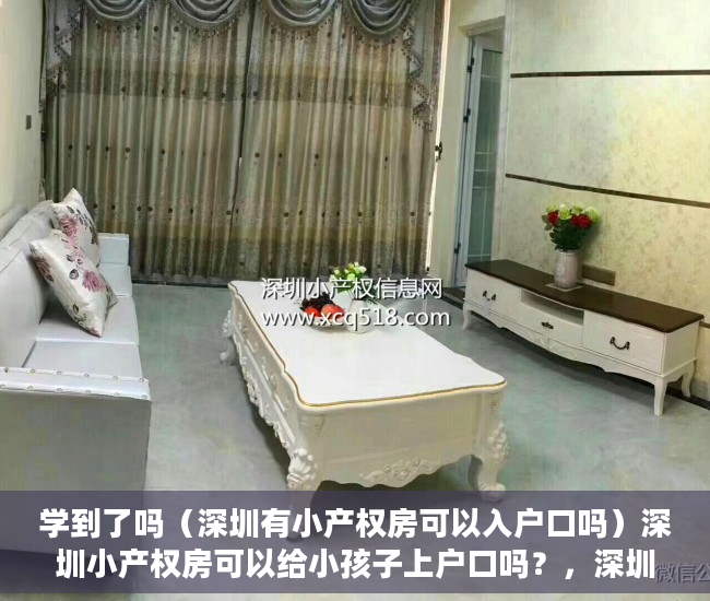 学到了吗（深圳有小产权房可以入户口吗）深圳小产权房可以给小孩子上户口吗？，深圳小产权能上户口吗，