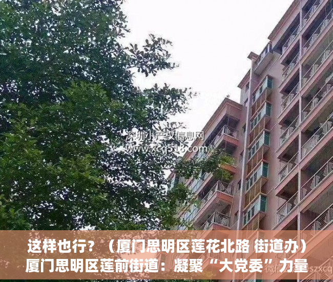 这样也行？（厦门思明区莲花北路 街道办）厦门思明区莲前街道：凝聚“大党委”力量 全域攻坚助力基层治理，厦门思明区莲前社区，