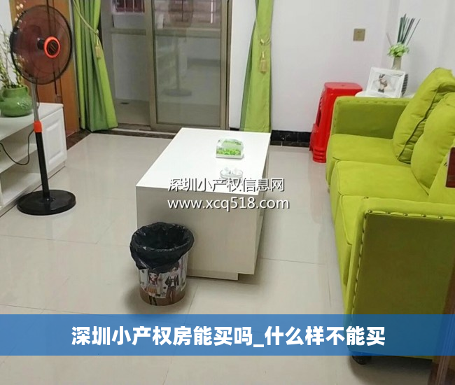 深圳小产权房能买吗_什么样不能买