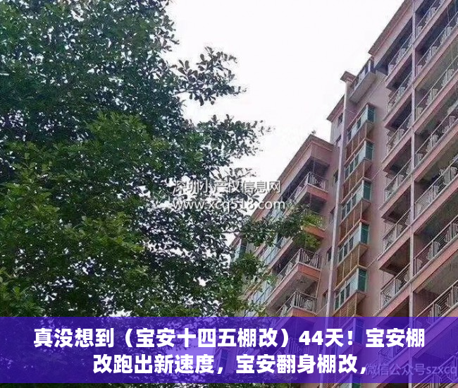 真没想到（宝安十四五棚改）44天！宝安棚改跑出新速度，宝安翻身棚改，