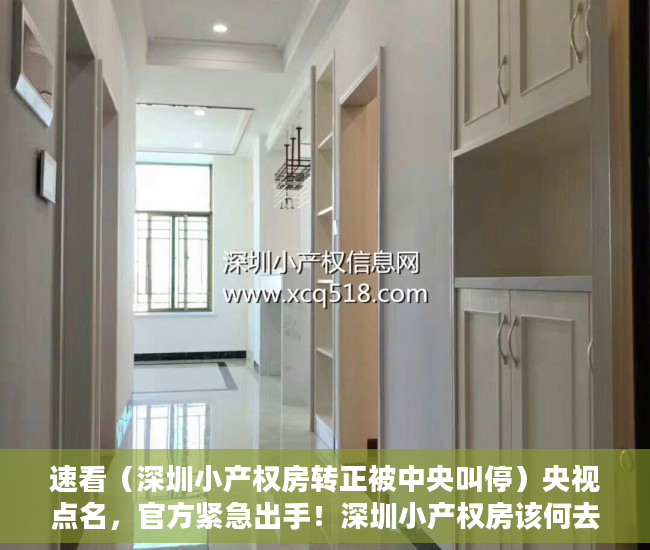 速看（深圳小产权房转正被中央叫停）央视点名，官方紧急出手！深圳小产权房该何去何从？，深圳打压小产权房，
