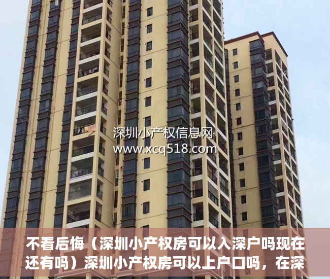 不看后悔（深圳小产权房可以入深户吗现在还有吗）深圳小产权房可以上户口吗，在深圳买了小产权房可以入户吗，