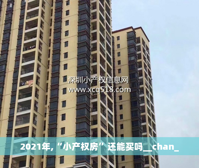 2021年,“小产权房”还能买吗__chan_