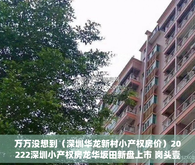 万万没想到（深圳华龙新村小产权房价）20222深圳小产权房龙华坂田新盘上市 岗头壹号，深圳龙华小产权房2019新盘房价，