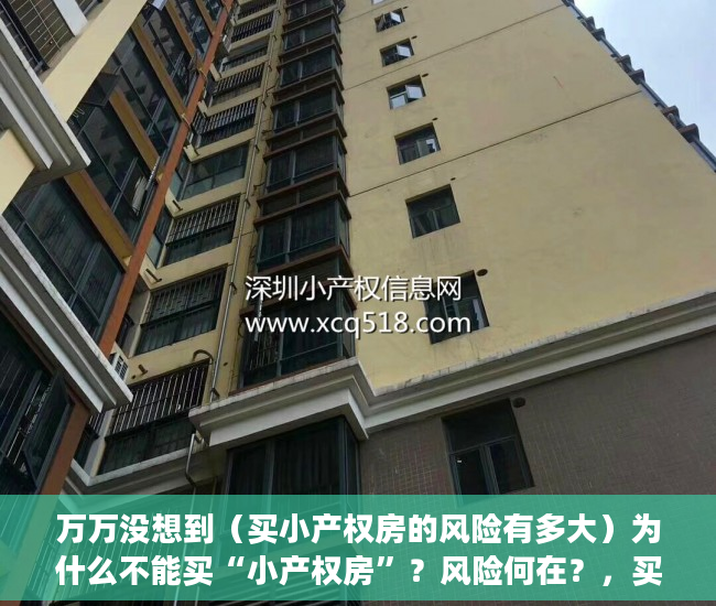 万万没想到（买小产权房的风险有多大）为什么不能买“小产权房”？风险何在？，买小产权房的风险大吗，