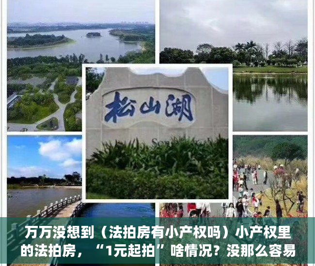 万万没想到（法拍房有小产权吗）小产权里的法拍房，“1元起拍”啥情况？没那么容易捡到“便宜”，法拍房1元起拍买得到吗，