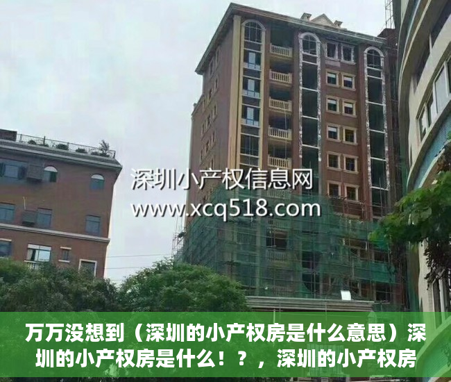 万万没想到（深圳的小产权房是什么意思）深圳的小产权房是什么！？，深圳的小产权房是什么样的，