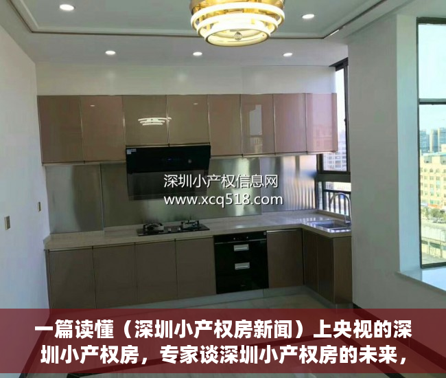 一篇读懂（深圳小产权房新闻）上央视的深圳小产权房，专家谈深圳小产权房的未来，