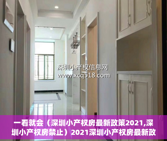 一看就会（深圳小产权房最新政策2021,深圳小产权房禁止）2021深圳小产权房最新政策，官方发布，2021年以后深圳小产权，