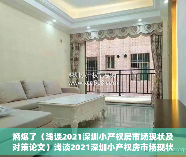 燃爆了（浅谈2021深圳小产权房市场现状及对策论文）浅谈2021深圳小产权房市场现状。，浅谈2021深圳小产权房市场现状及对策研究，