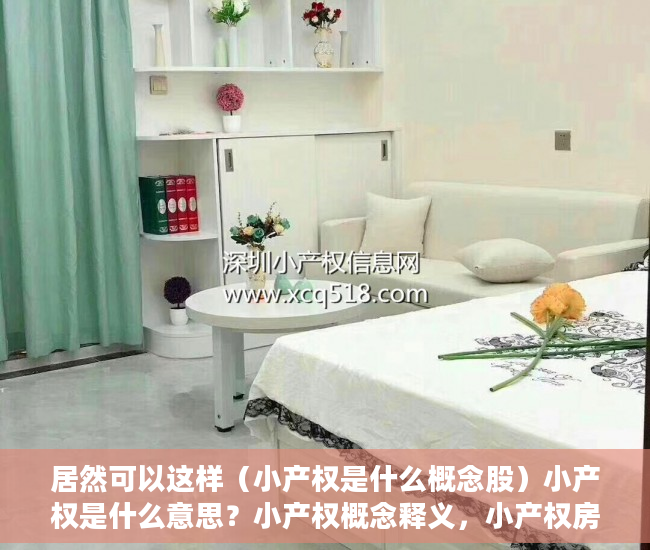 居然可以这样（小产权是什么概念股）小产权是什么意思？小产权概念释义，小产权房子是什么概念，