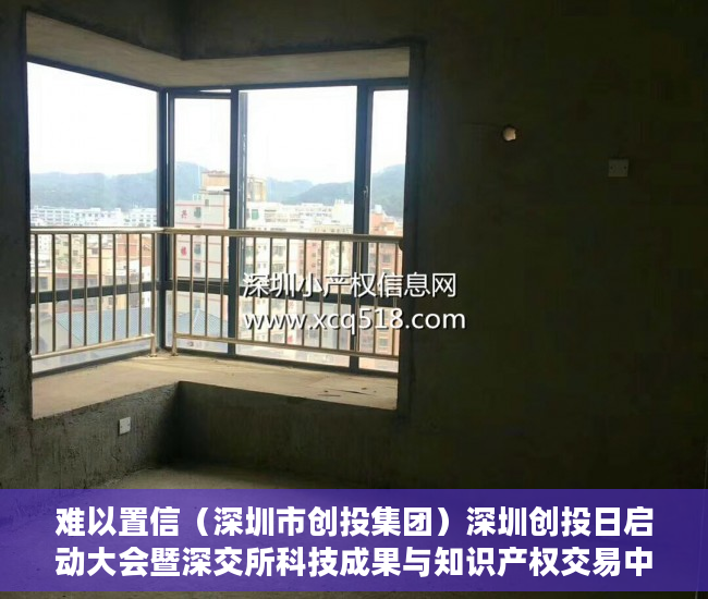 难以置信（深圳市创投集团）深圳创投日启动大会暨深交所科技成果与知识产权交易中心揭牌活动举行，深圳市创投日，