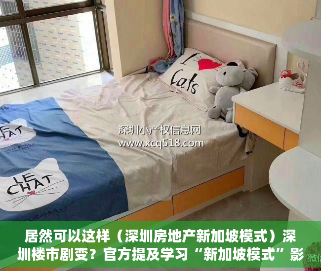 居然可以这样（深圳房地产新加坡模式）深圳楼市剧变？官方提及学习“新加坡模式”影响几何？业内：诸多难题待解，深圳住房要学新加坡模式，