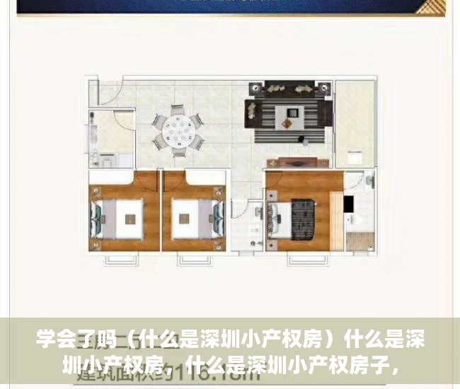 学会了吗（什么是深圳小产权房）什么是深圳小产权房，什么是深圳小产权房子，
