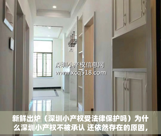 新鲜出炉（深圳小产权受法律保护吗）为什么深圳小产权不被承认 还依然存在的原因，深圳小产权卖不出去，
