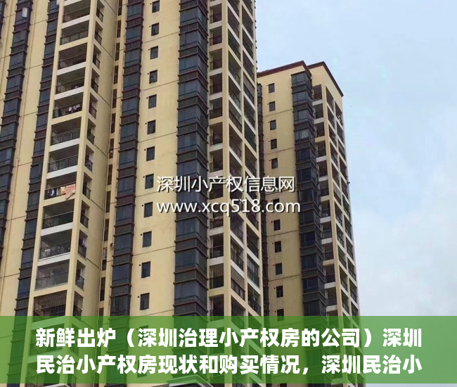 新鲜出炉（深圳治理小产权房的公司）深圳民治小产权房现状和购买情况，深圳民治小产权，