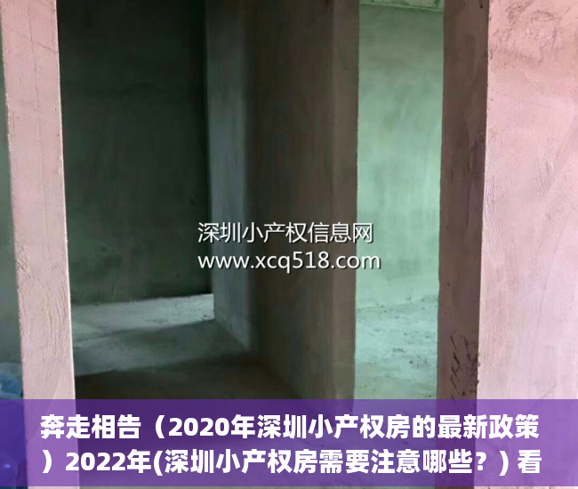 奔走相告（2020年深圳小产权房的最新政策）2022年(深圳小产权房需要注意哪些？) 看准这几点了，教会你 深圳小产权房该如何选？，深圳小产权房需要注意什么，