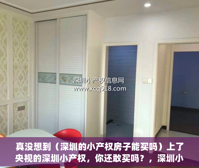 真没想到（深圳的小产权房子能买吗）上了央视的深圳小产权，你还敢买吗？，深圳小产权哪里值得买，