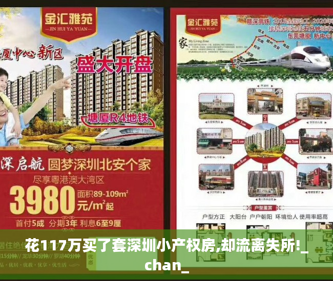 花117万买了套深圳小产权房,却流离失所!_chan_