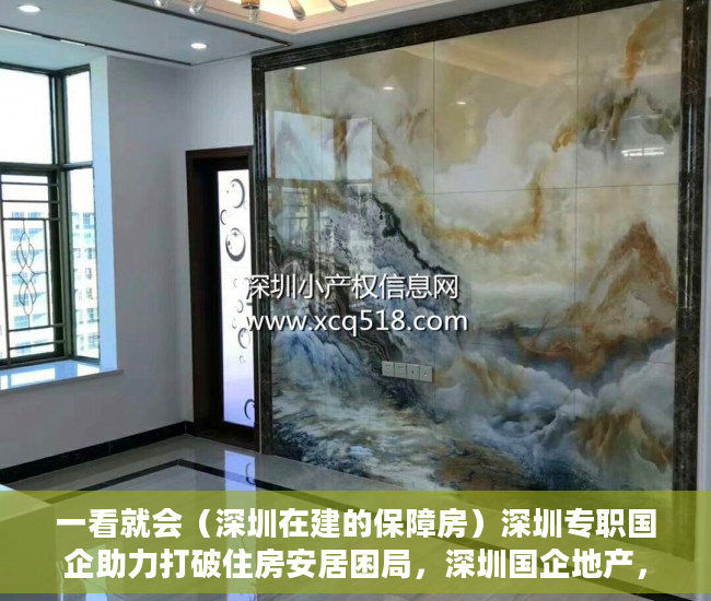 一看就会（深圳在建的保障房）深圳专职国企助力打破住房安居困局，深圳国企地产，