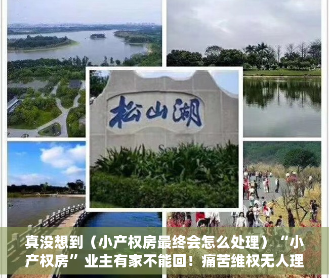 真没想到（小产权房最终会怎么处理）“小产权房”业主有家不能回！痛苦维权无人理，小产权房问题解决，
