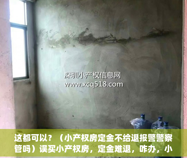 这都可以？（小产权房定金不给退报警警察管吗）误买小产权房，定金难退，咋办，小产权房交了定金不想要了能退吗，
